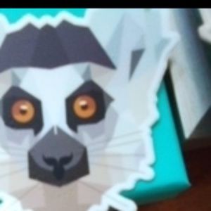 Meet your Posher, Doris